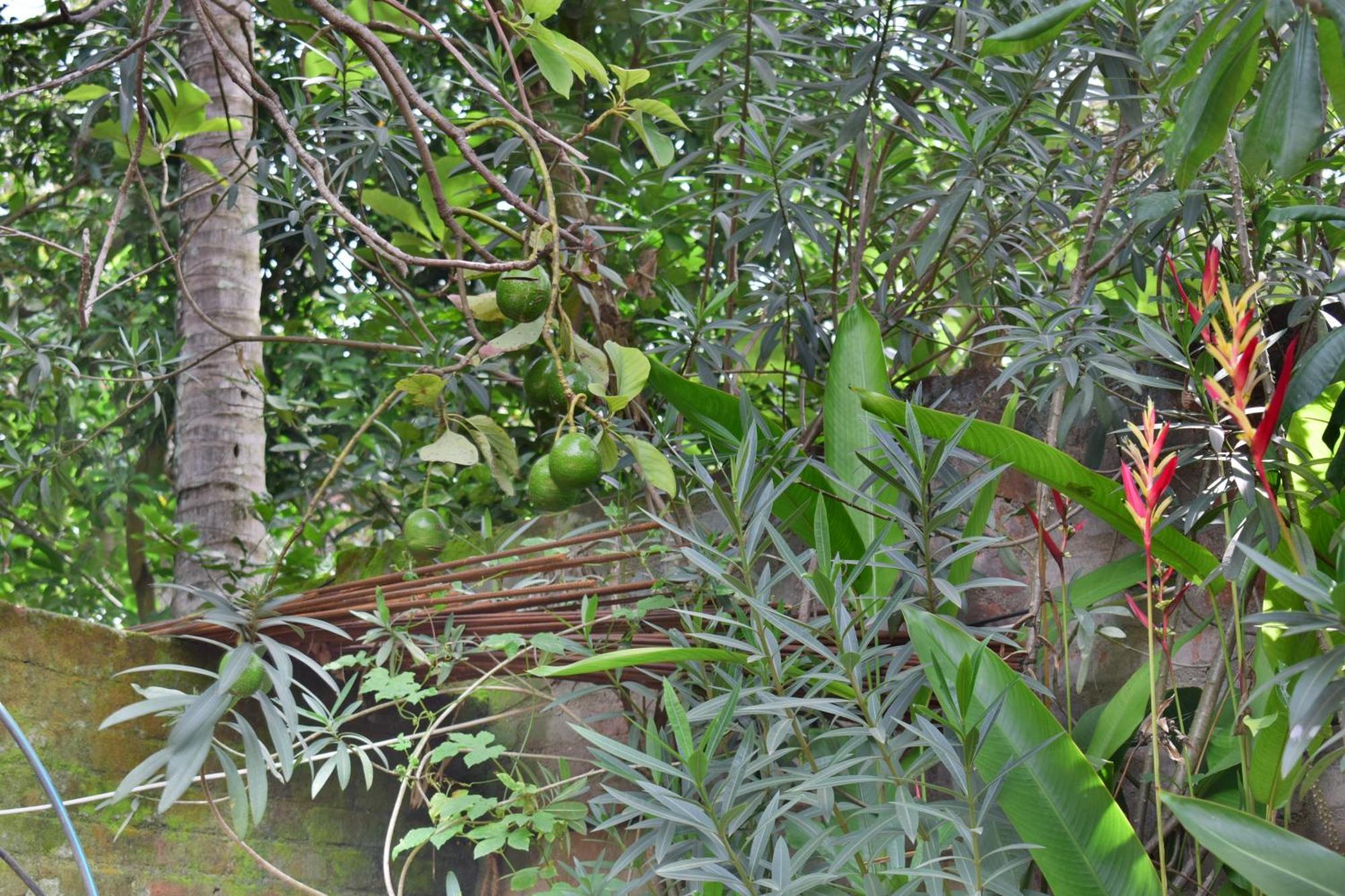 Silent Waters Resorts Yelagiri Ngoại thất bức ảnh