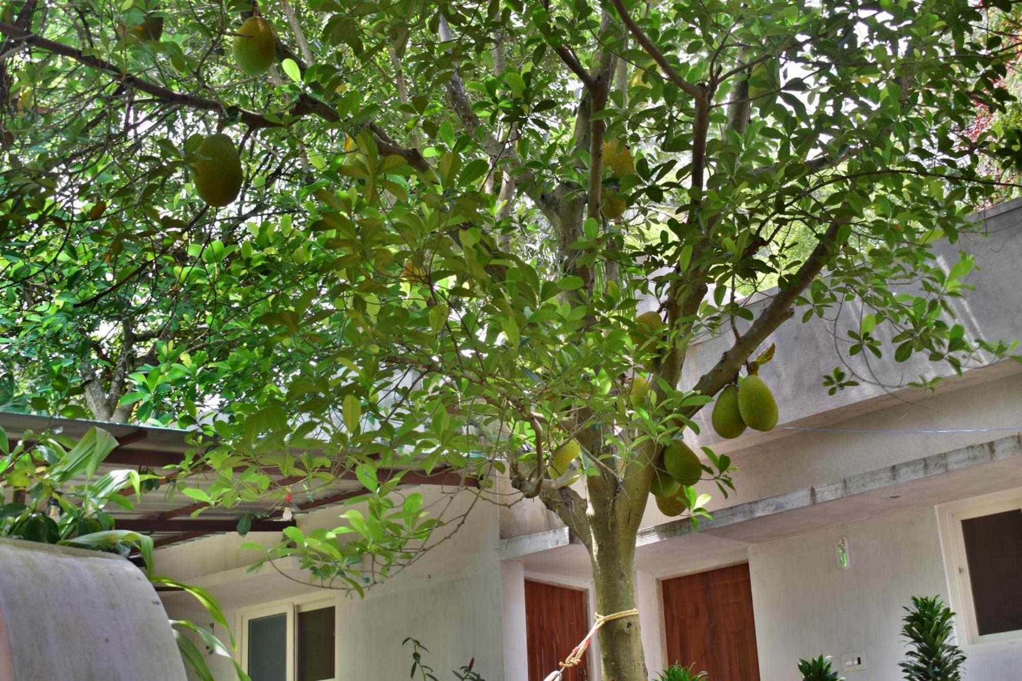 Silent Waters Resorts Yelagiri Ngoại thất bức ảnh