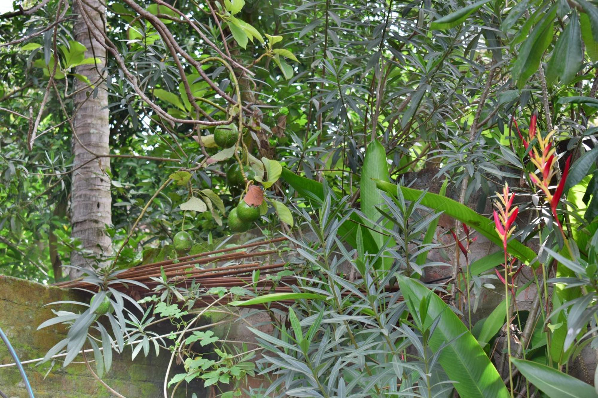 Silent Waters Resorts Yelagiri Ngoại thất bức ảnh
