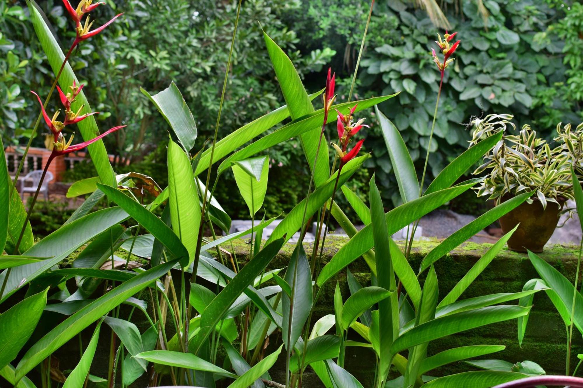 Silent Waters Resorts Yelagiri Ngoại thất bức ảnh