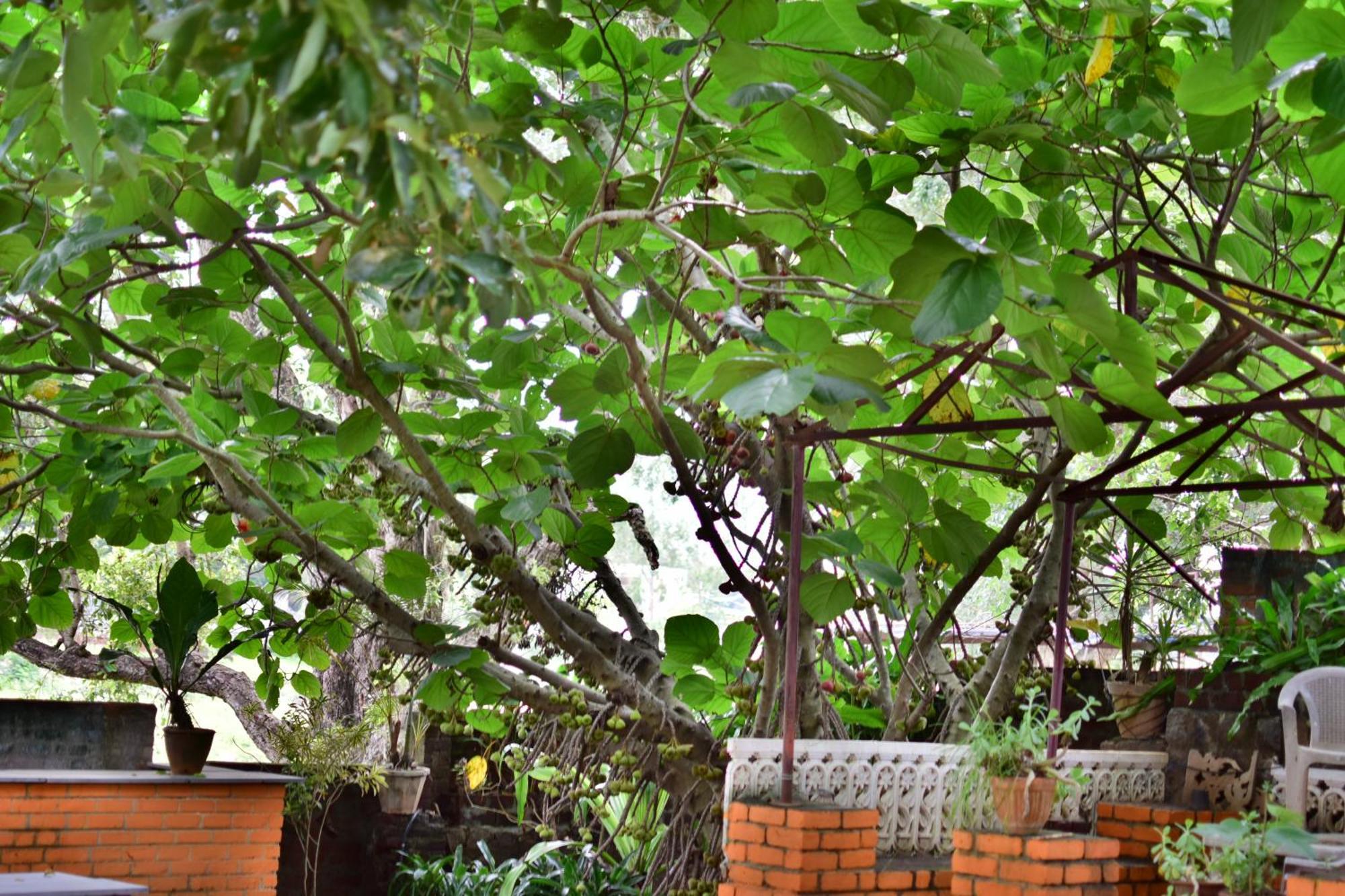 Silent Waters Resorts Yelagiri Ngoại thất bức ảnh