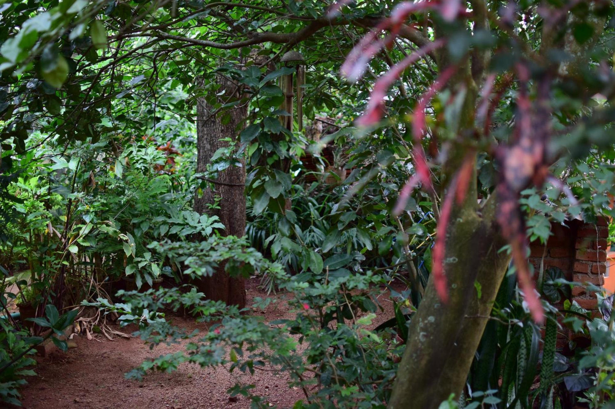Silent Waters Resorts Yelagiri Ngoại thất bức ảnh