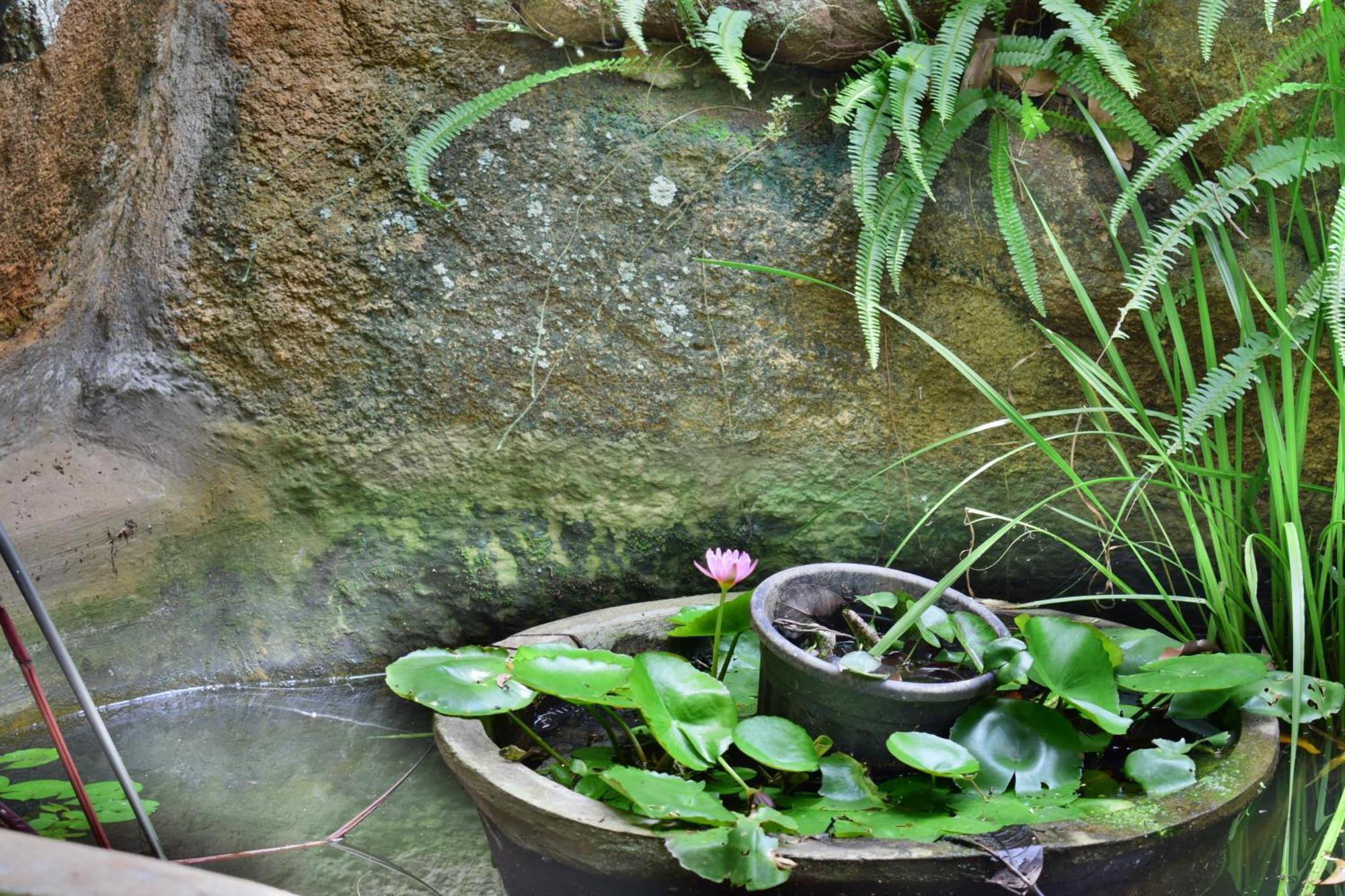 Silent Waters Resorts Yelagiri Ngoại thất bức ảnh
